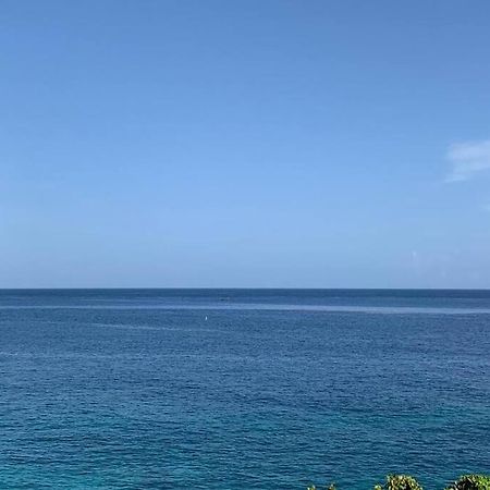فيلا Irie Vibes Ocean View نيغريل المظهر الخارجي الصورة